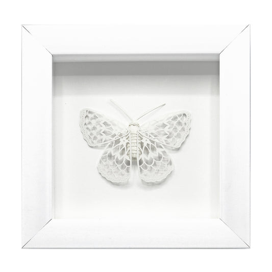 Paper Moth I