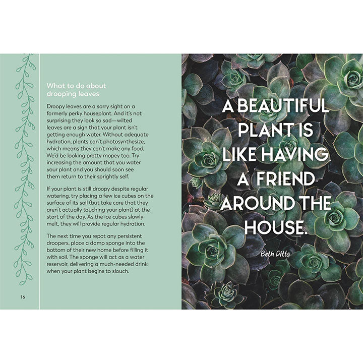 The Little Book for Plant Parents