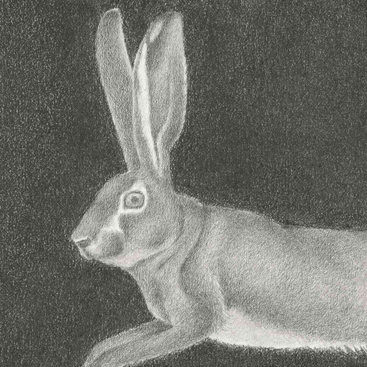 Leaping Hare