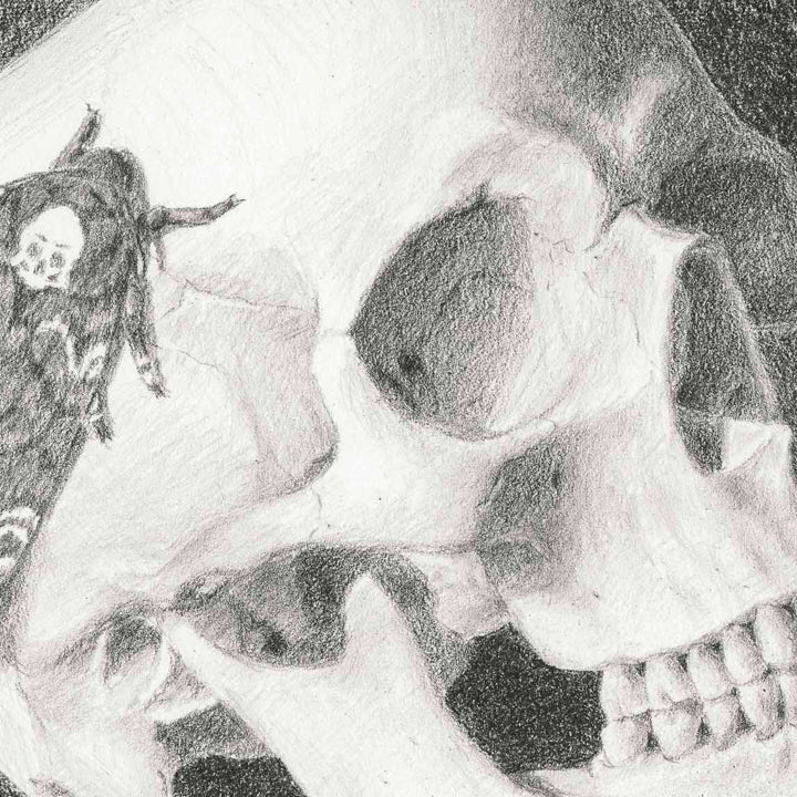Skull and Moth