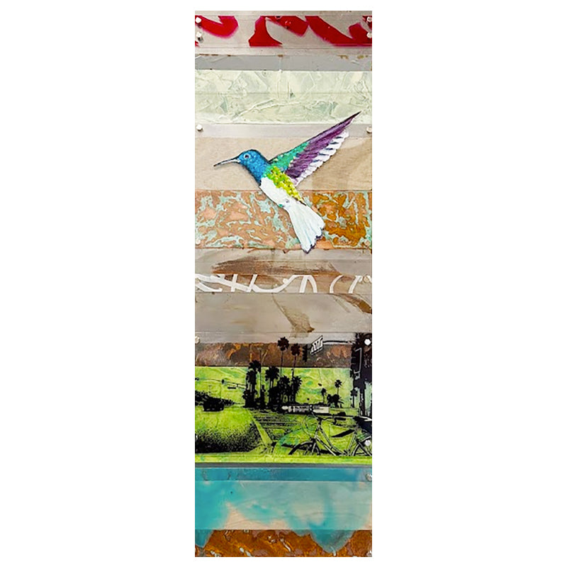 Hummingbird and Beach Bike