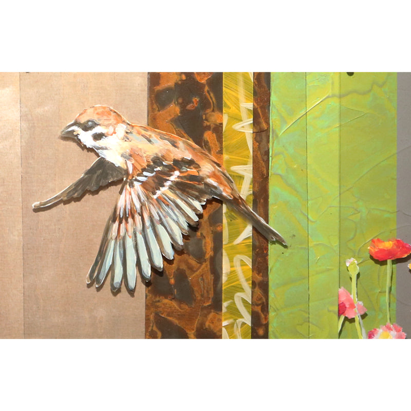Sparrow and The Broad