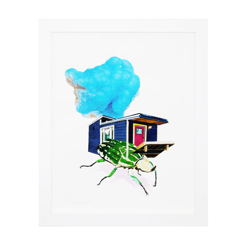Beetle House