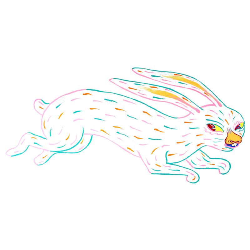 White Rabbit