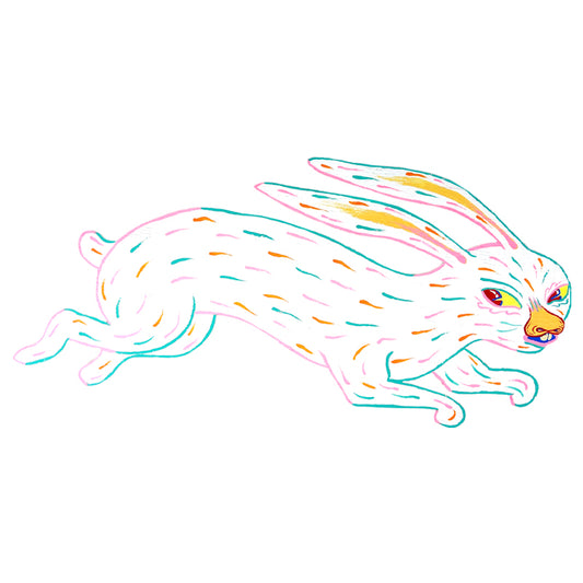 White Rabbit