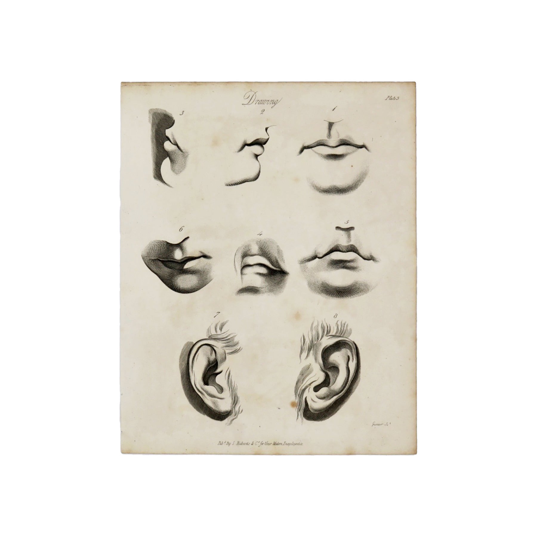 Drawing Plate 3 Antique 1820 Engraving from "The Modern Encyclopedia: The Latest Discoveries in each Department of Knowledge." 1820s etching of mouths and ears for drawing purposes Measures 10.5 x 8.25 inches