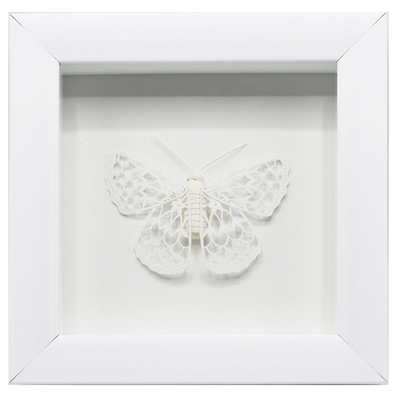 Paper Moth I