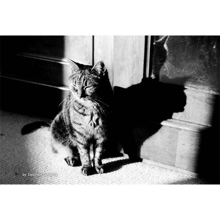 Kosmo Foto Mono 100, 35mm B&W Film