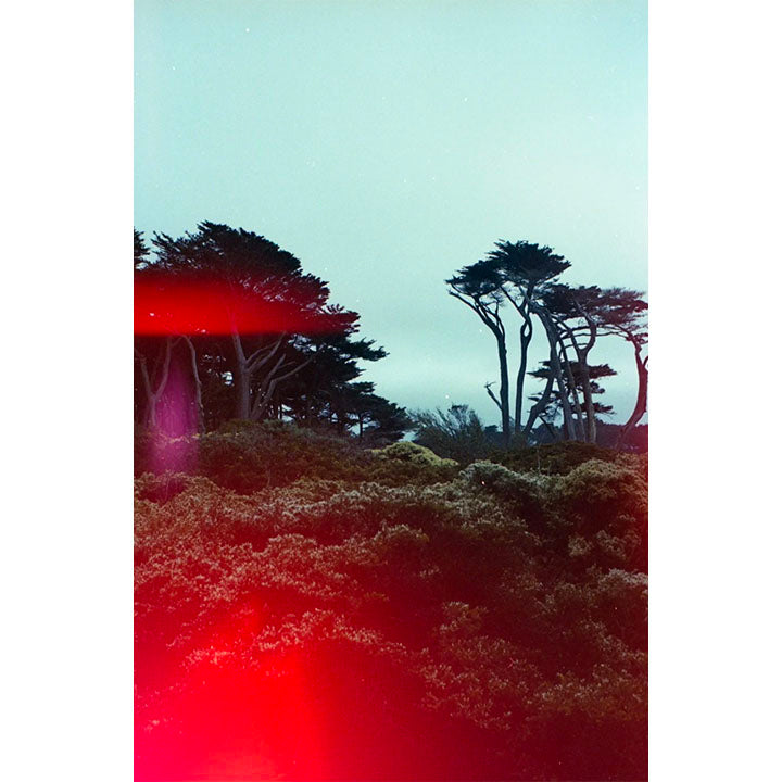 Psych Blues #3, 35mm Color Film