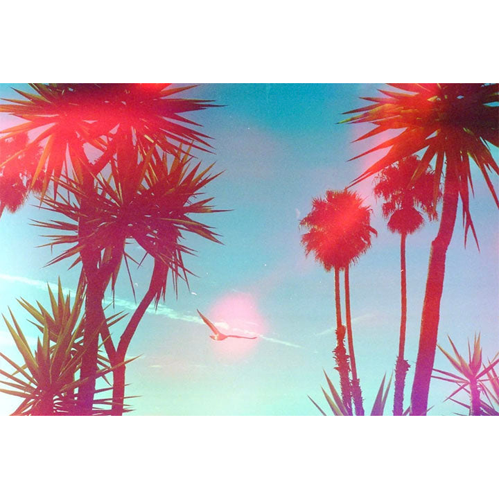 Psych Blues #3, 35mm Color Film