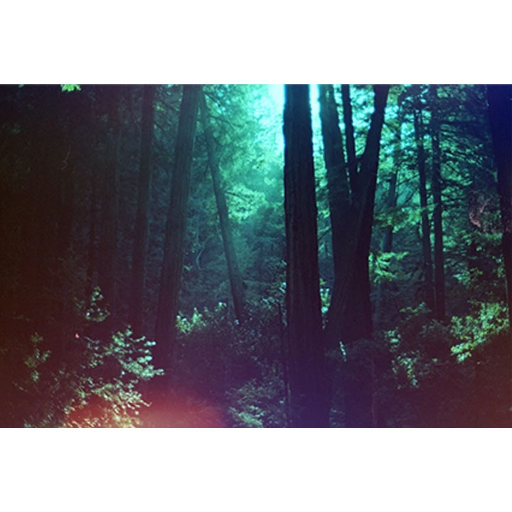 Psych Blues #3, 35mm Color Film