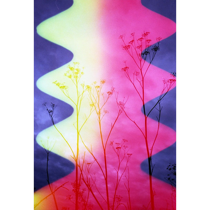 Psych Blues #7, 35mm Color Film
