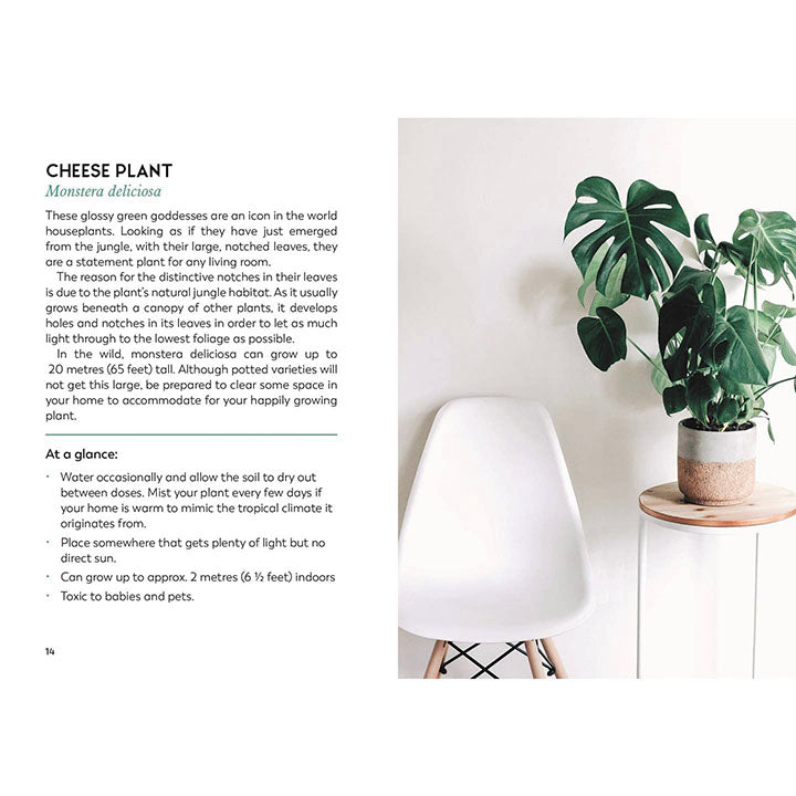 The Little Book for Plant Parents