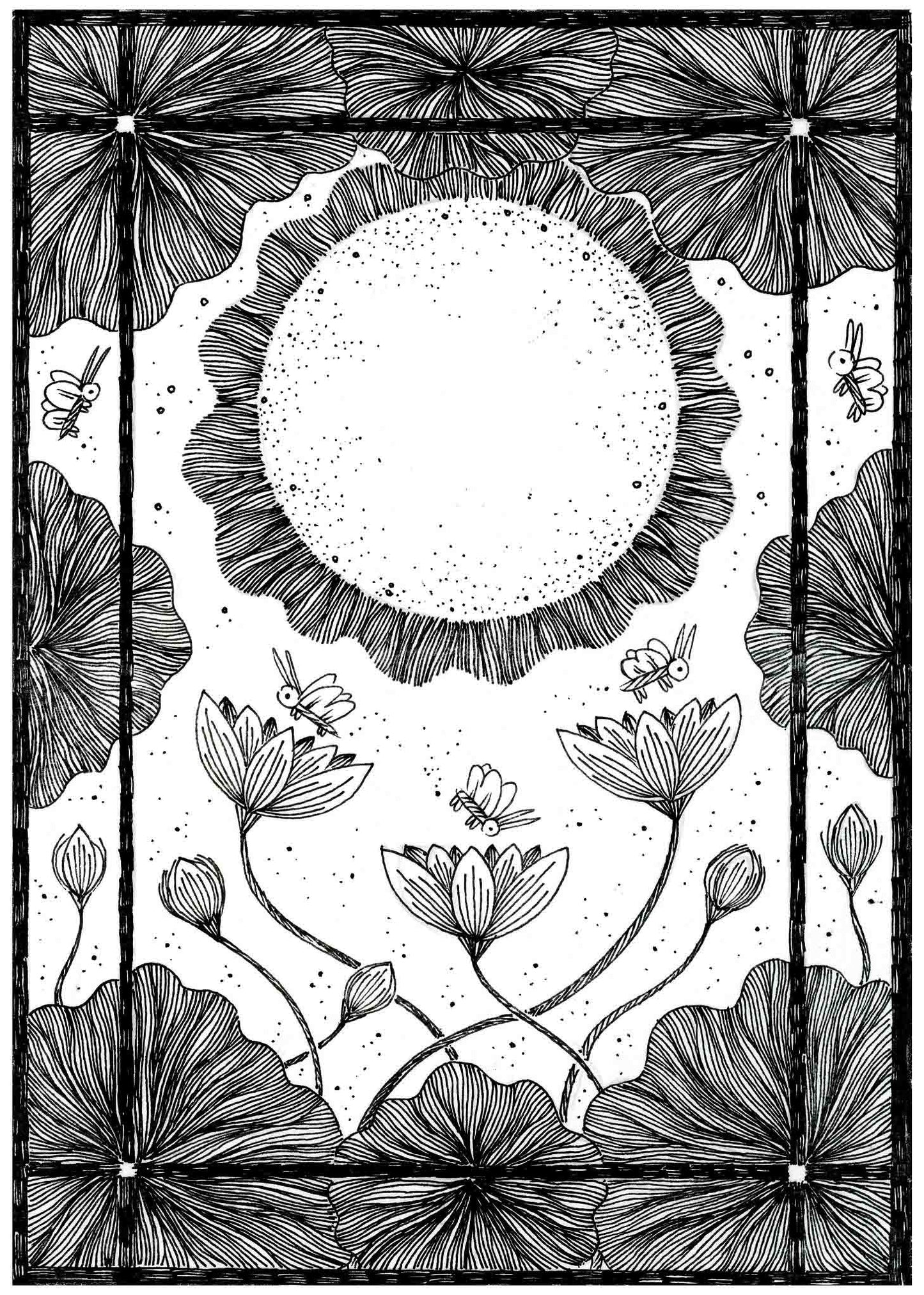 The Sun