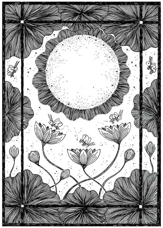 The Sun