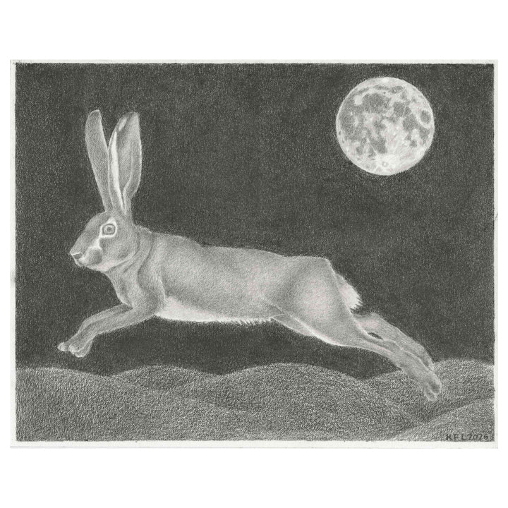 Leaping Hare