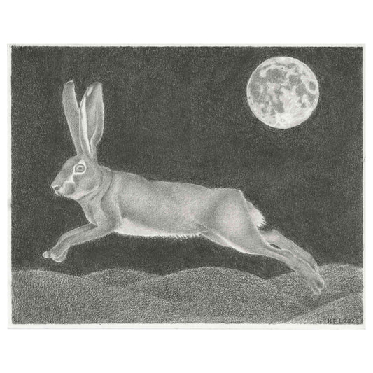 Leaping Hare