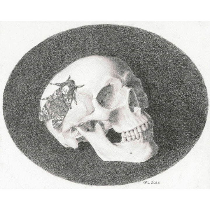 Skull and Moth