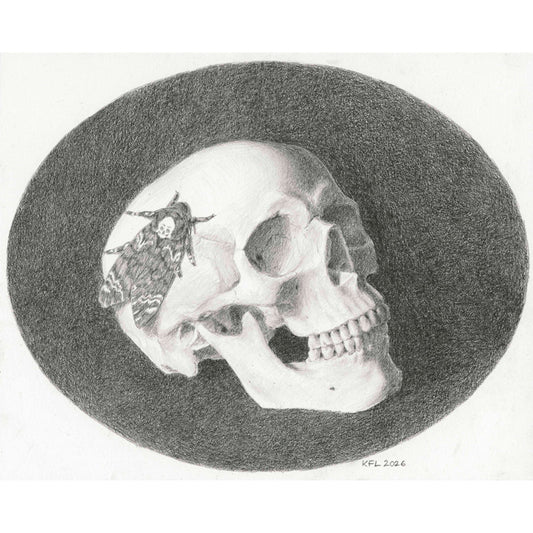 Skull and Moth
