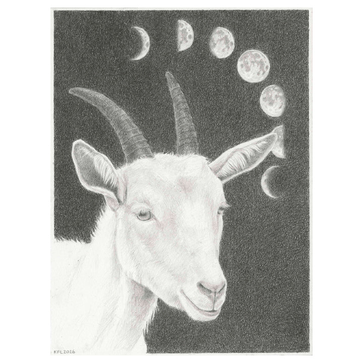The Young Goat