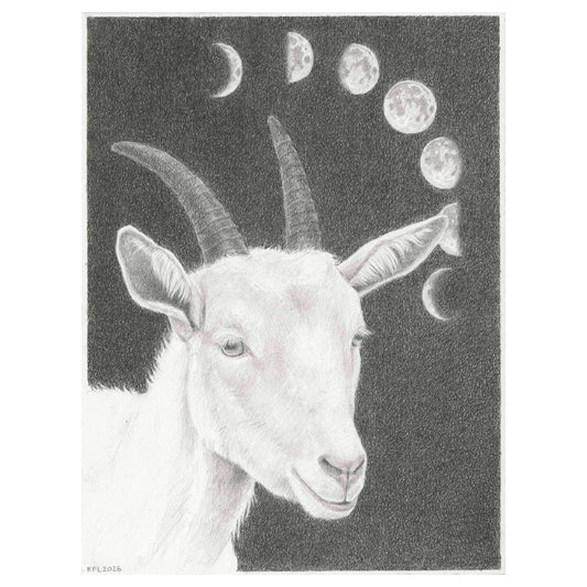 The Young Goat