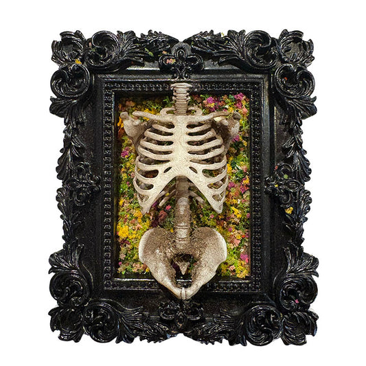Hollow Pilgrim, Floral