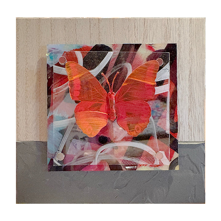 Urban Butterfly