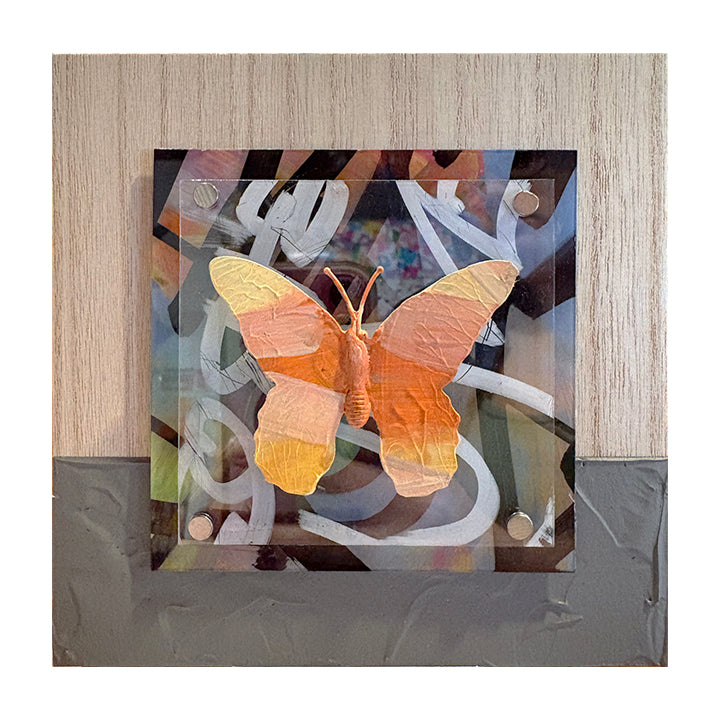 Urban Butterfly