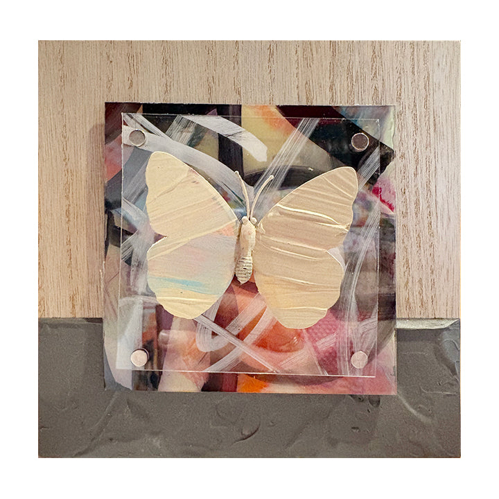 Urban Butterfly