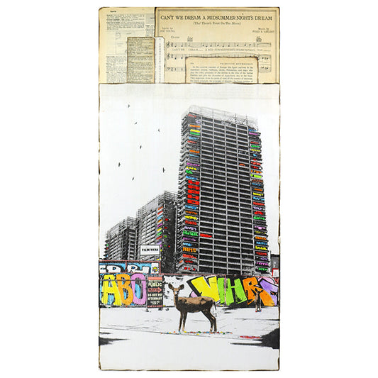 Can't We Dream a Midsummer Nights Dream