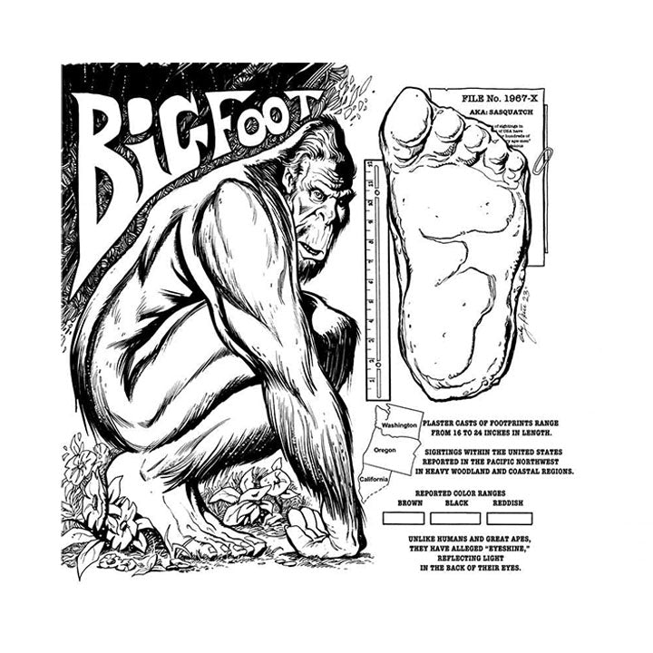 Cryptid Creatures Coloring Book