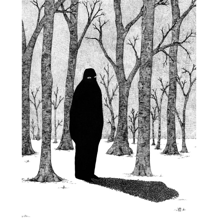 The Shadow and the Void