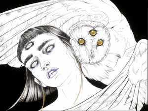 All Seeing Owl Print