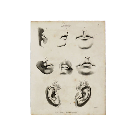 Drawing Plate 3 Antique 1820 Engraving from "The Modern Encyclopedia: The Latest Discoveries in each Department of Knowledge." 1820s etching of mouths and ears for drawing purposes Measures 10.5 x 8.25 inches
