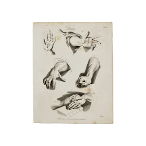 Drawing Plate 4  Antique 1820 Engraving from "The Modern Encyclopedia: The Latest Discoveries in each Department of Knowledge."  1820s etching of hands for drawing purposes.  Measures 10.5 x 8.25 inches