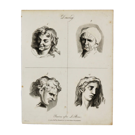 Drawing (Passions after Le Brun 2)  Antique 1820 Engraving from "The Modern Encyclopedia: The Latest Discoveries in each Department of Knowledge."  1820s etching depicting a face from four different angles for drawing purposes.  Measures 10.5 x 8.25 inches.