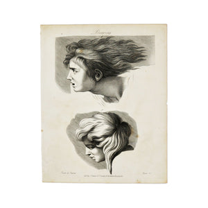 Drawing (Hair)  Antique 1820 Engraving from "The Modern Encyclopedia: The Latest Discoveries in each Department of Knowledge."  1820s etching of two hairstyles for drawing purposes.  Measures 10.5 x 8.25 inches.
