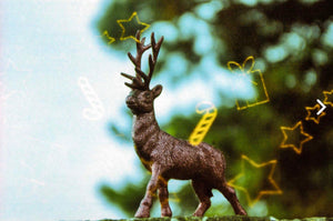 KONO! Wintermarchen Winter Fairy Tale ISO 200 35mm x 24 exp.Holiday Film