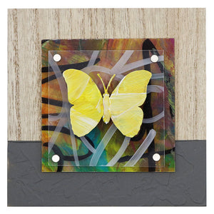 Urban Butterfly