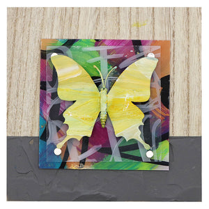 Urban Butterfly