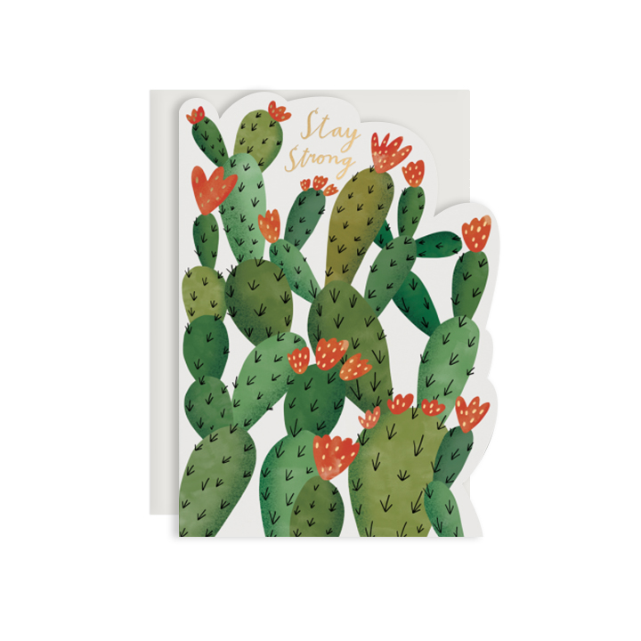 By Red Cap Cards. Stay Strong Cactus Card. Die-cut greeting card is printed on 100lb heavyweight cardstock with foil detail. Blank inside for a personal message. Illustrated by Bodil Jane. Please note that due to everyone’s monitor displaying differently, the colors you see may vary. Measures 5x7 inches.