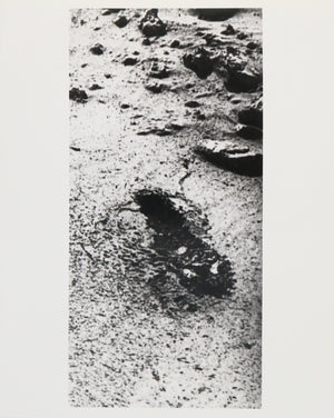 Viking 1 Sol 8 Sample Trench Photograph