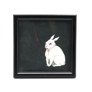 Witch-hare
